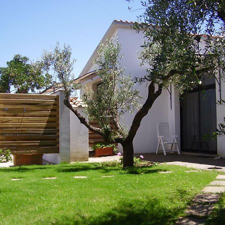 Podere Belvedere Cecina Cecina  Zewnętrze zdjęcie