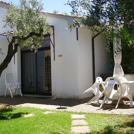 Podere Belvedere Cecina Cecina  Zewnętrze zdjęcie