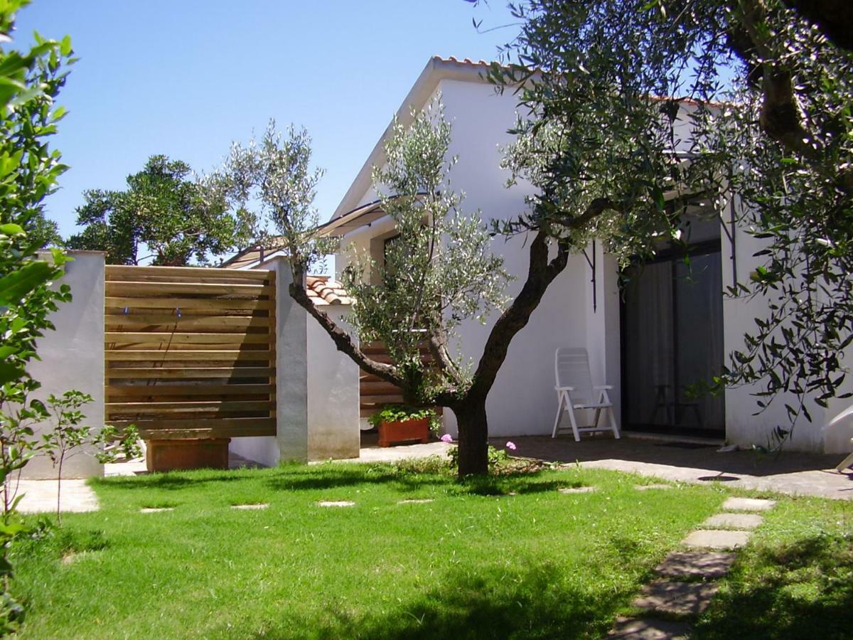 Podere Belvedere Cecina Cecina  Zewnętrze zdjęcie