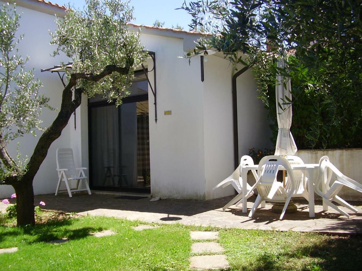 Podere Belvedere Cecina Cecina  Zewnętrze zdjęcie