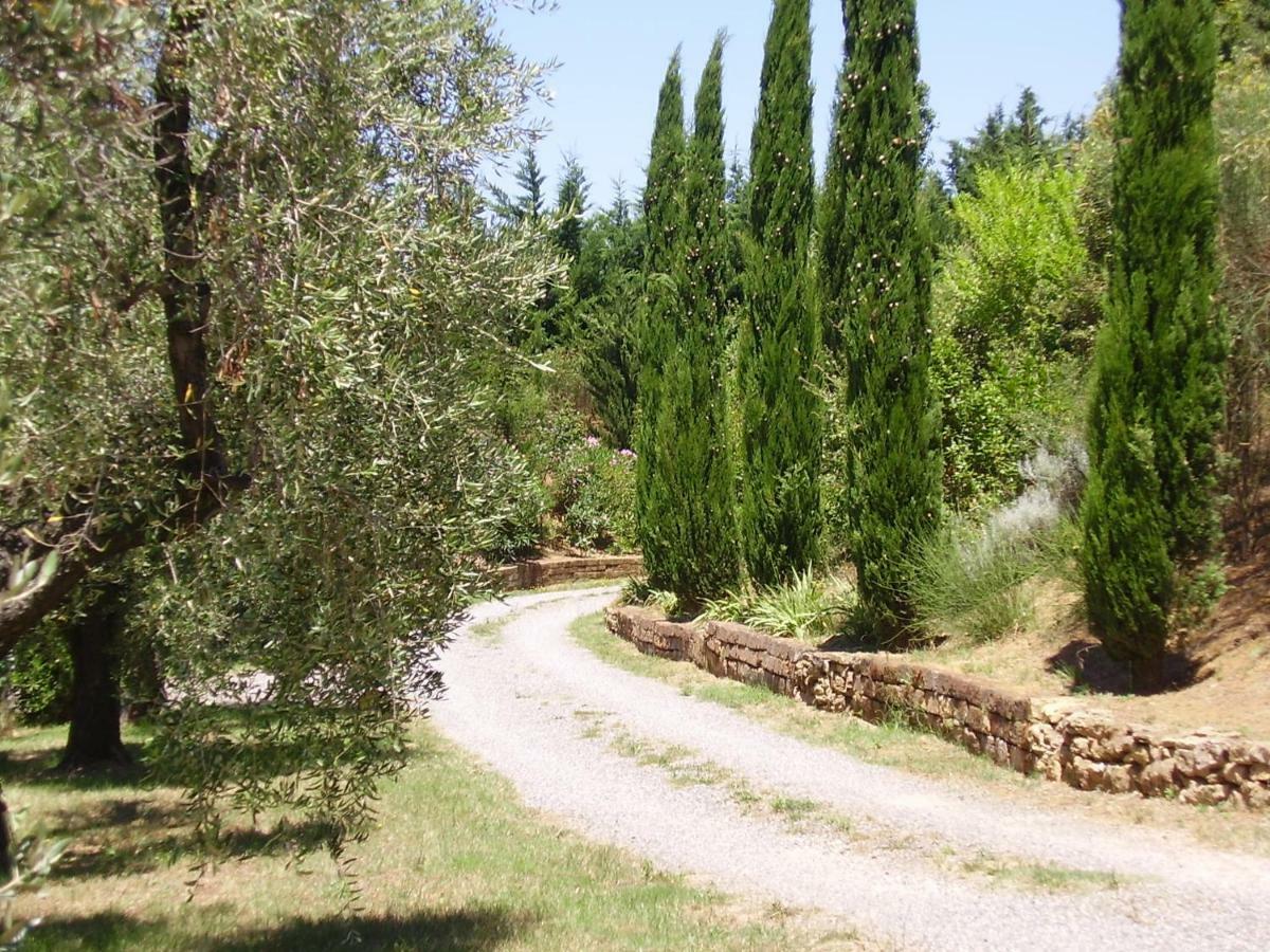 Podere Belvedere Cecina Cecina  Zewnętrze zdjęcie
