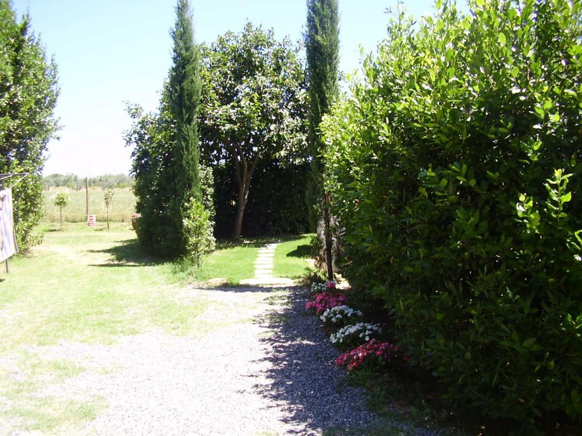 Podere Belvedere Cecina Cecina  Zewnętrze zdjęcie